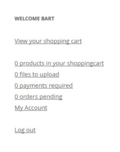 WooCommerce My Account Widget 1